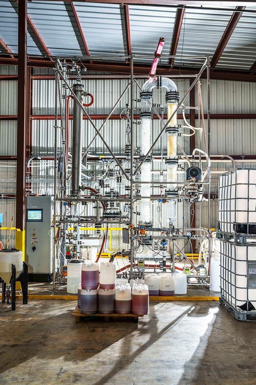 從腫瘤到工廠 酶的革命性應(yīng)用與負(fù)碳制造新紀(jì)元